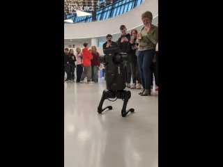 Наступит день и в ЭКСПО перестанут привозить робособак, но, возможно, новая ветка метро появится раньше (видео)