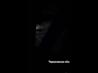 💥 Мощные взрывы в Сумской и Черниговской областях.    В небе около 115 БПЛА.    Только через Черниговскую область в... (видео)