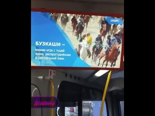 Среднеазиатскую игру с тушей козла вместо мяча показали во владимирском автобусе    Пассажиры автобуса во Владимире... (видео)