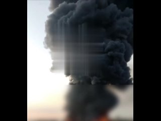 Красотища!!! Продолжайте парни!!! ✊✊✊🇷🇺🇷🇺🇷🇺 - Надежда Филичкина