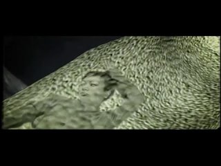 Танцы минус - Цветут цветы