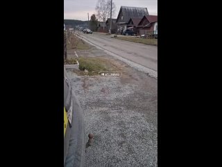 В Ревде легковушка на полной скорости протаранила крыльцо продуктового магазина, попутно сбив трех девочек.  Две из них... (видео)