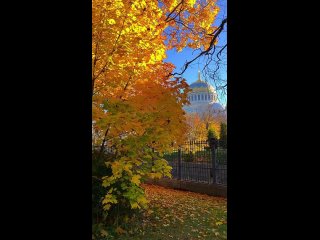 Золотая осень в Кронштадте.  📸 nikitina__marinka (видео)