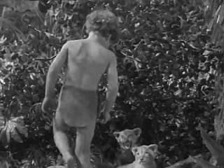 Тарзан находит сына (США, 1939)семейный, мелодрама, приключения