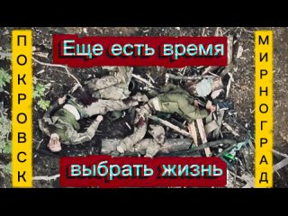 ⚡️ ВС РФ предложили гарнизонам ВСУ в Покровске и Мирнограде капитуляцию    ⚠ Сегодня наше командование предложило... (видео)