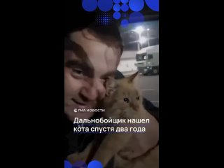 Дальнобойщик нашел потерявшегося кота спустя годы поисков.    Пушистый напарник Бусик пропал два года назад в... (видео)
