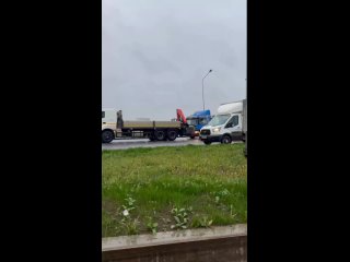 Два петушара кикбоксеры - Дмитрий Богданов