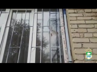 Курганец закидал коктейлями Молотова здание полиции в Далматово.    40-летний мужчина после своей ночной выходки... (видео)