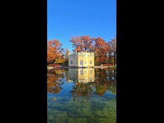 Осеннее утро в Царском селе.  Видео: eduard_gordeev_ (видео)