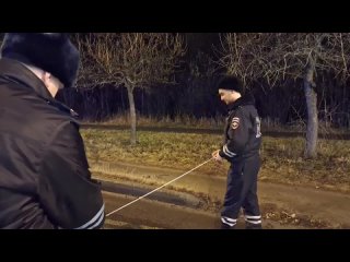 Пьяный водитель насмерть сбил 50-летнюю женщину на пешеходном переходе в Новоуральске.  Смертельное ДТП произошло вчера... (видео)