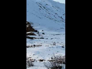 На Берзинском карнизе запечатлели целое стадо кавказских туров🦌  📹 RiderHelp (видео)