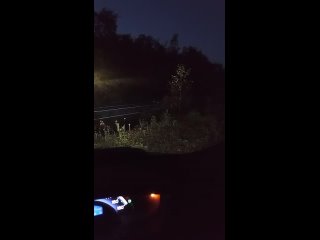 🐯 Опасная встреча с хищником произошла в Приморье  Необычный инцидент зафиксирован в Шкотовском районе Приморского... (видео)