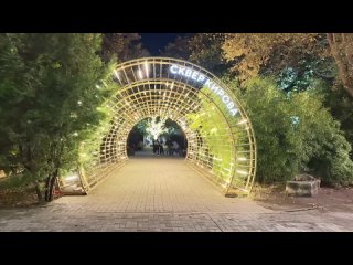 Осенние краски Лазаревского❤️🍁🍂 (видео)