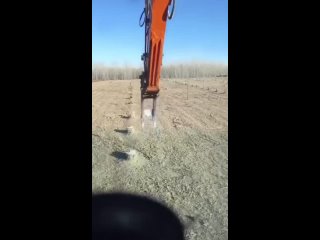 Суки сколько деревьев уничтожили - Лиза Кан