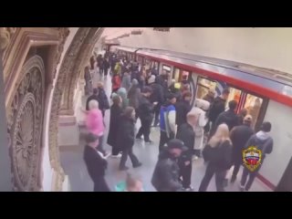 В Москве задержали парня, применившего "перцовку" на станции метро "Киевская".    Одной женщине не понравился его... (видео)