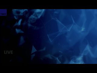 Владимир Путин проводит совещание с членами Правительства РФ в формате видеоконференции в Москве.  Видео: ТАСС/Ruptly (видео)