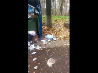 Всего несколько дней назад была запись с улицы Богородского 13/1 аналогичная, через полчаса приехали иностранные... (видео)