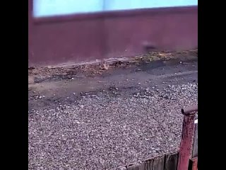 Тюменский Робин Гуд украл деньги и раздал бомжам.    Бездомный залез в частный дом и наткнулся на сумку с деньгами, где... (видео)