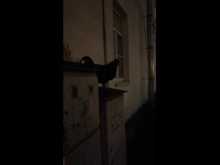 Будильник убежал. - Александр Лиогонький