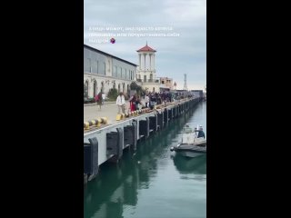 Ну уж закинул бедную кошку, как тряпку..😯 - Светлана Фоменко