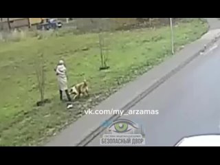 Страшные кадры из Арзамаса — там алабай нападает на домашних животных.  Пёс сидит на цепи возле недостроенного частного... (видео)