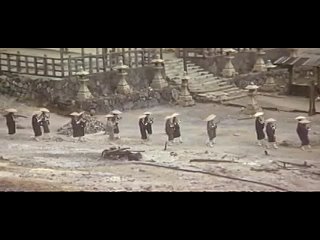 Волки 1971