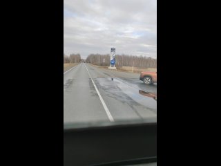 ДТП на трассе Курган - Половинное (видео)