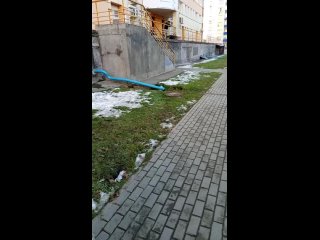 Житель Новосибирска подрался с офисным стулом и выпал из окна   Перед началом «боя» мужчина стучался в окна своего... (видео)