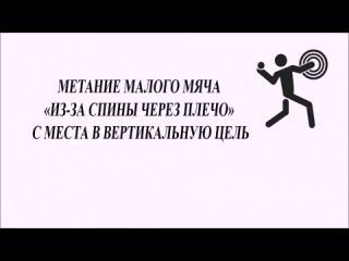 Метание малого мяча с места “вертикальная цель“.