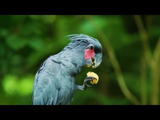 САМАЯ НЕЖНАЯ МУЗЫКА ДЛЯ ДУШИ.ЭТО ОЧЕНЬ КРАСИВАЯ, БЕСПОДОБНАЯ МУЗЫКА