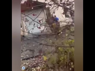 👋"Уволен на*уй".  Самарский губернатор Федорищев отправил в отставку главу Кинельского района.   Причиной стал... (видео)