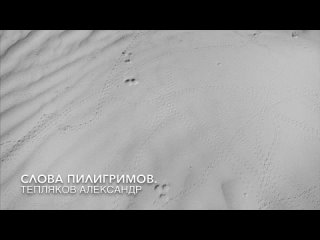 СЛОВА ПИЛИГРИМОВ (8) (приложение). Александр Тепляков