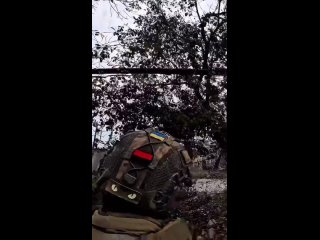 🔥 Это ад! «П**да, нас нах разбирают!» — паника у нацистов в Красноармейске    ▪Российские FPV-дроны на оптоволокне... (видео)