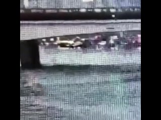 Поиск «острых ощущений» едва не обернулся для самонадеянного 23-летнего жителя города Химки трагедией.    По данным... (видео)