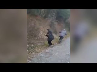 Школьницы напали на пенсионера ради видео для соцсетей в Каменске-Уральском.  Две девочки 14 и 15 лет пинали пожилого... (видео)