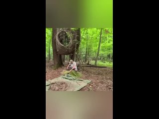 А ночью его в клоаку Долбил шершень 🤣 - Евгений Ноябрьский