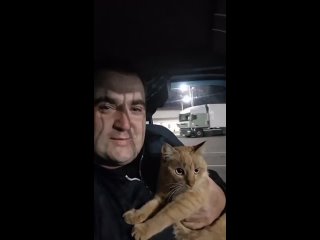 Дальнобойщик нашёл на Дону пропавшего кота спустя два года. Ему пришлось даже развестись с женой из-за поисков усатого.... (видео)