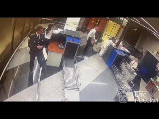 В аэропорту Шереметьево был задержан мужчина, который пытался убежать от таможенников после того, как в его чемодане... (видео)