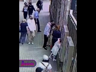 В Московском зоопарке пытались отравить животных неизвестными таблетками    Неизвестный пытался отравить животных... (видео)