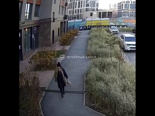 Женщина травит собак во дворах ЖК на Уралмаше. Уже погиб один питомец.    Во дворах ЖК «Изумрудный Бор» неизвестная... (видео)