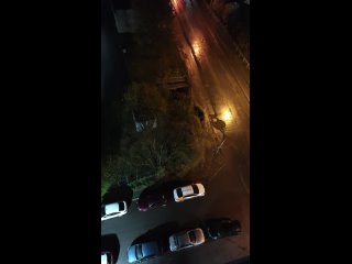 Шушары. В 3 часа ночи я услышал лай собак, который не прекращался целый час. Подумал, что что-то там явно случилось и... (видео)
