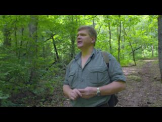 Дикий Запад Рэя Мирса. Горы / The Wild West With Ray Mears (2013)