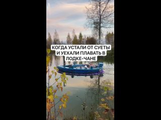 Семья из Ростовской области показала, как правильно нужно проводить выходные (видео)