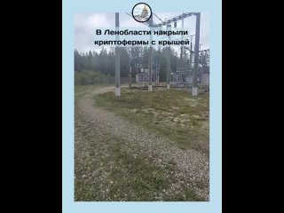 В Ленобласти накрыли криптофермы под крышей РЖД  В 1 млрд рублей оценили ущерб от майнеров, подключившихся к... (видео)