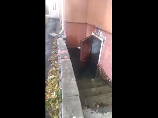 Сегодня 6 день, как вызываем аварийную службу, составляют заявку, но ничего не делают, Управляющая компания,,... (видео)