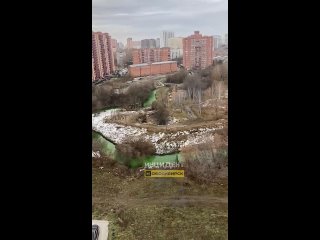 В Новосибирске река Каменка окрасилась в зеленый цвет  Необычный оттенок воды заметили в парке Каменка и в районе между... (видео)