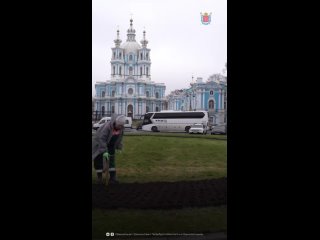 Специалисты садово-паркового хозяйства уже готовятся к весне — на парадных видовых местах Петербурга высаживают... (видео)