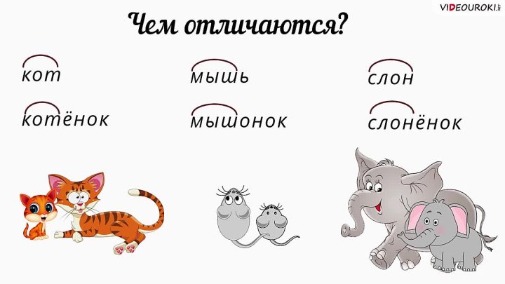 Разбор слова кошечка