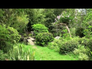 Японские сады часть 1