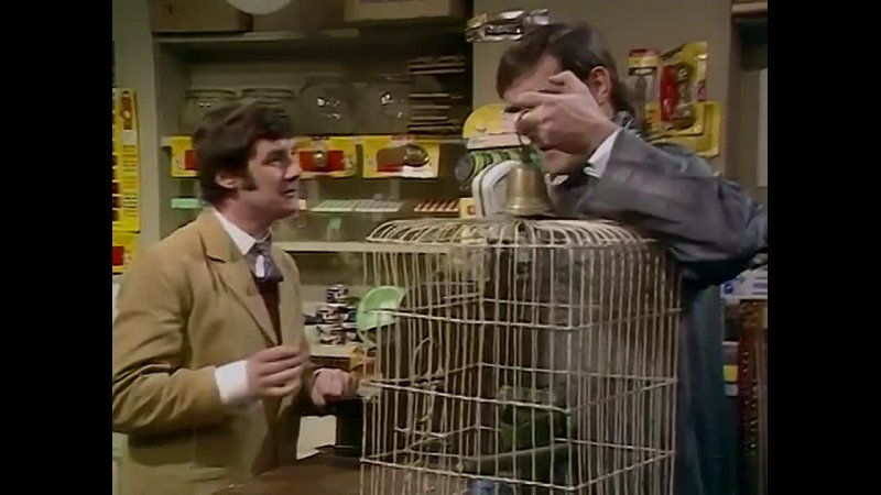 Monty Python s Flying Circus Dead Parrot